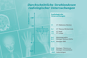 Abb. 1: Durchschnittliche Strahlungsmengen durch Röntgenaufnahmen und CT nach Körperregion (Grafik adaptiert nach Patienteninformation 2020 des Fachverbandes für Strahlenschutz e.V.3)